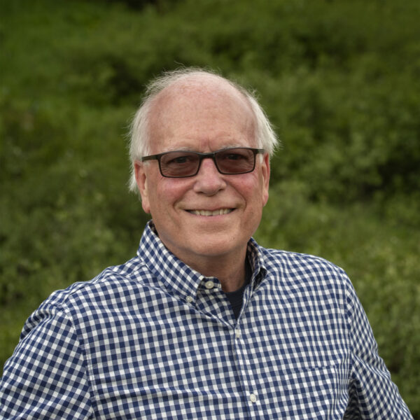 David Stelzer profile image